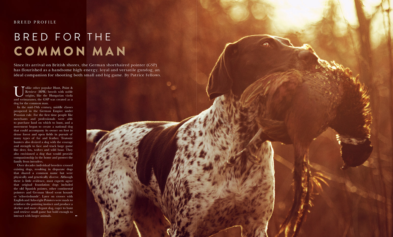 Gundog Journal Compendium Vol I, page 4