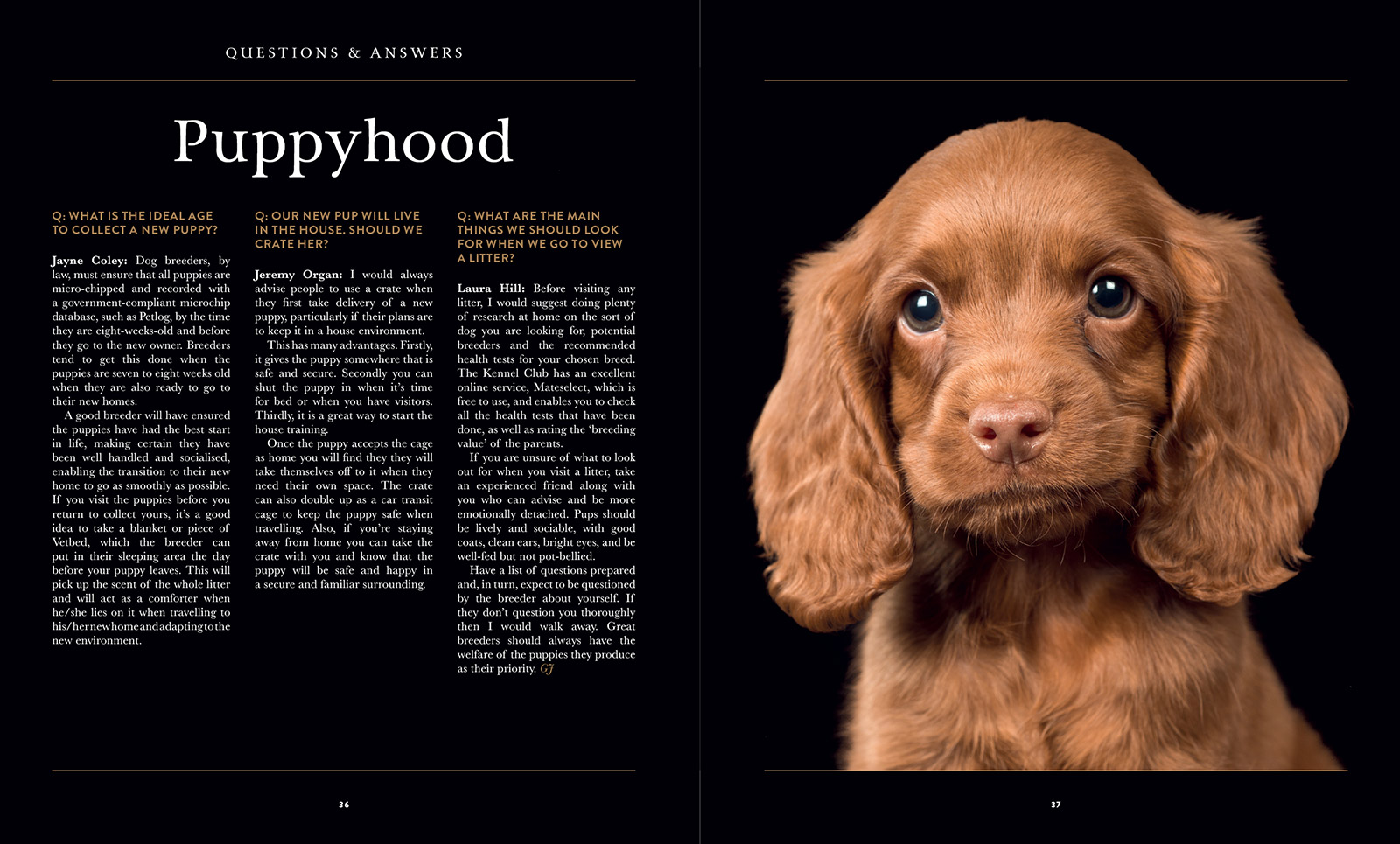 Gundog Journal Compendium Vol I, page 5