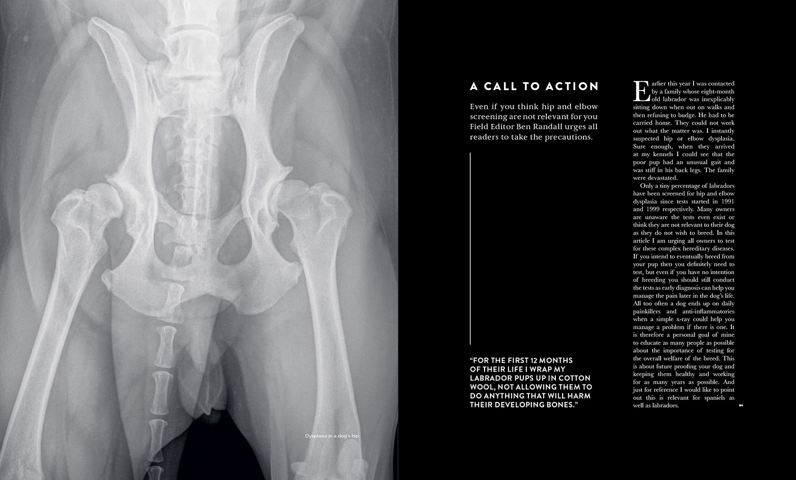 Gundog Journal Compendium Vol I, page 8