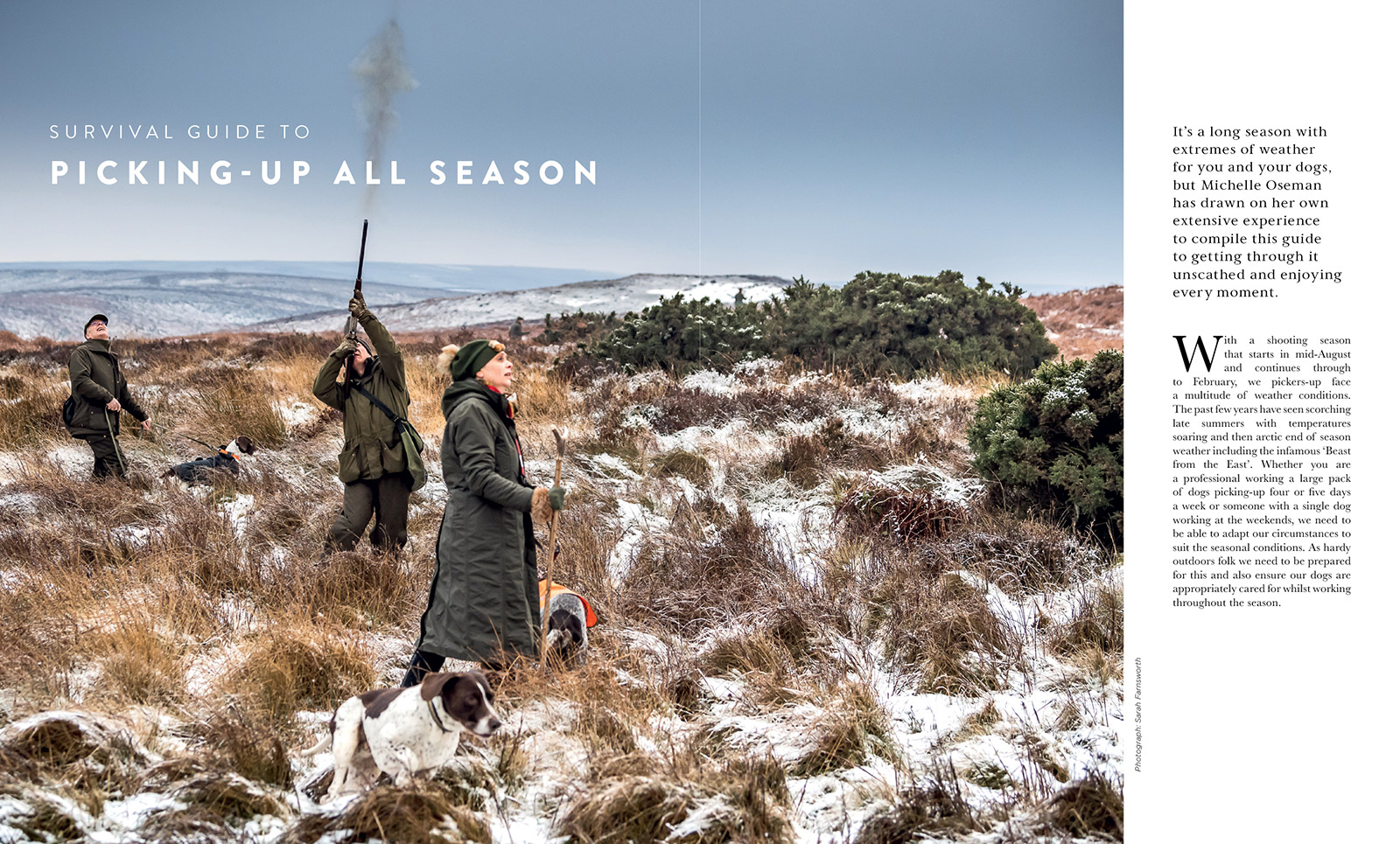 Gundog Journal Compendium Vol I, page 9