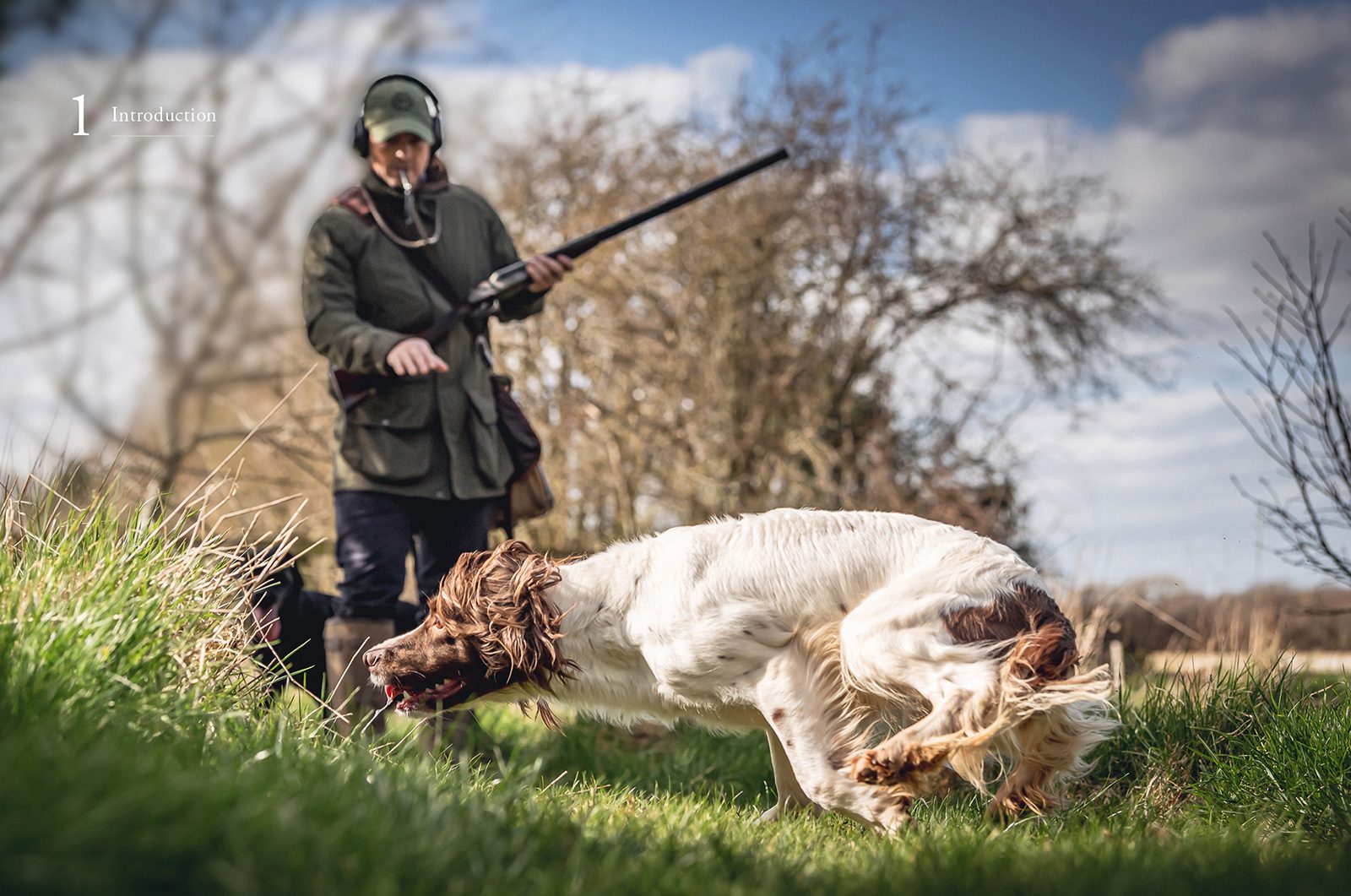 How to Train Your Gundog, page 2