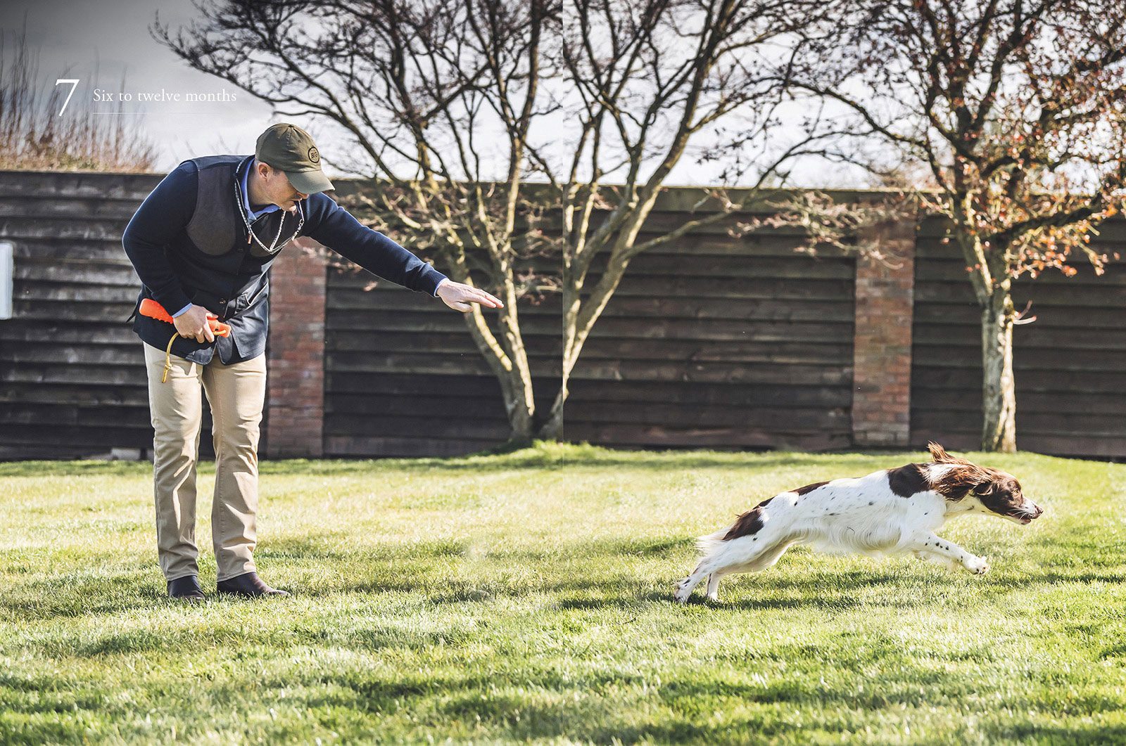 How to Train Your Gundog, page 6