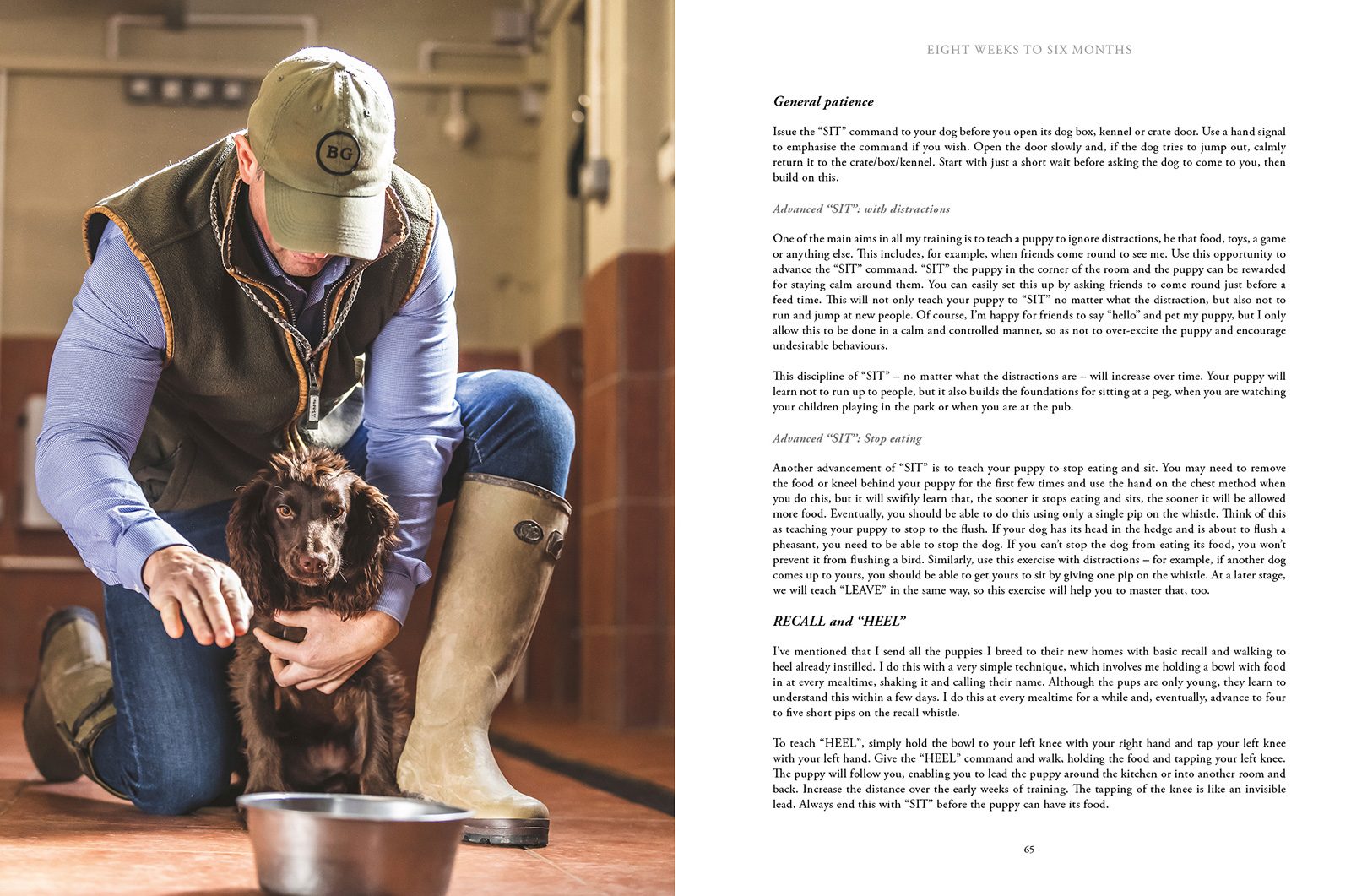 How to Train Your Gundog, page 7