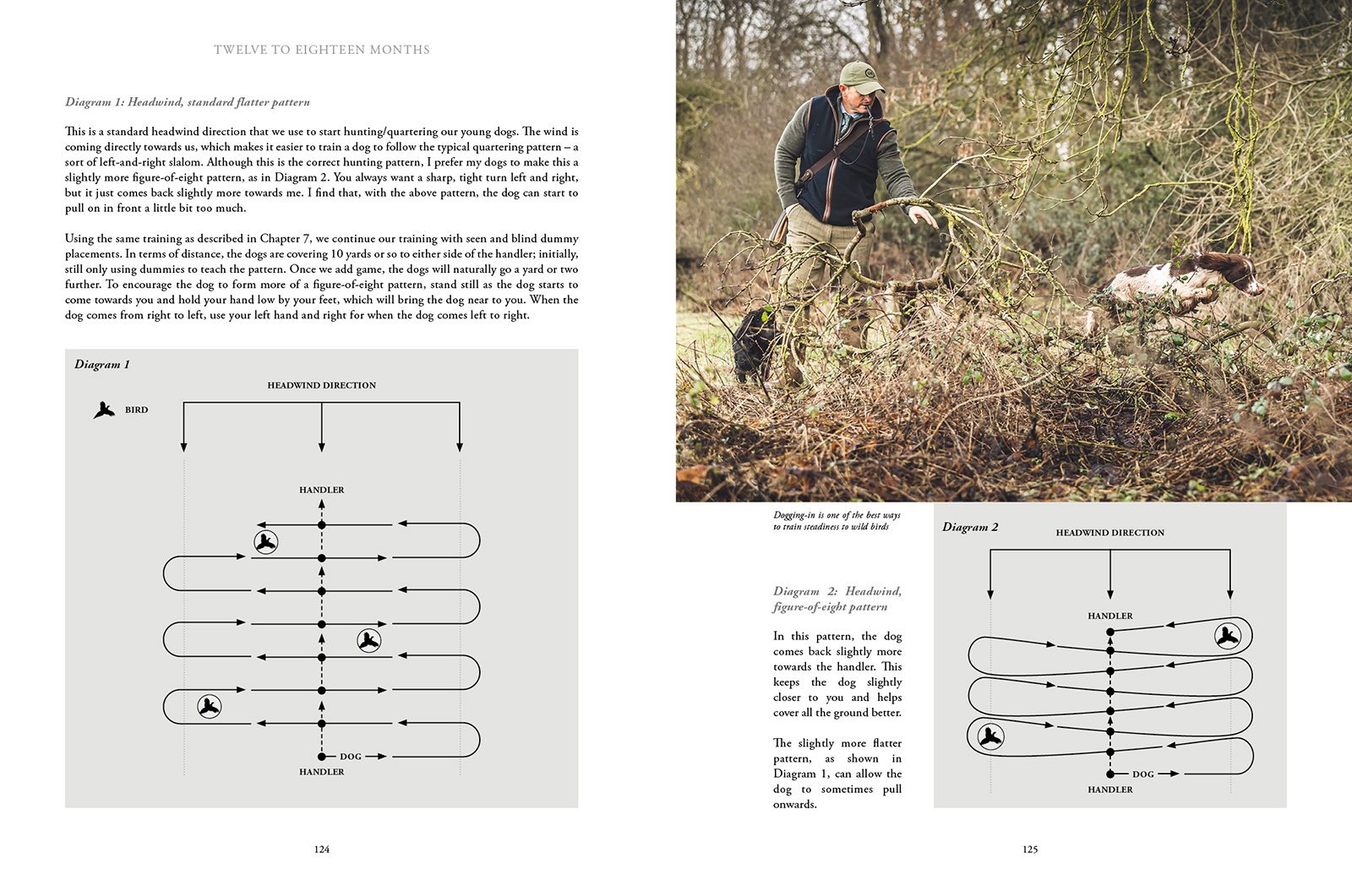 How to Train Your Gundog, page 9