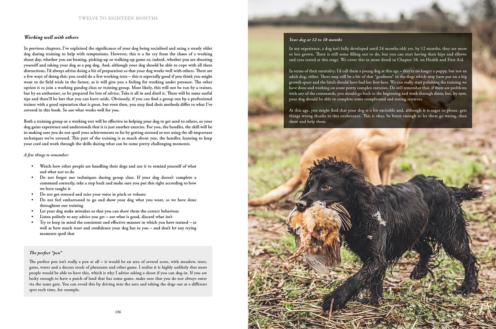 How to Train Your Gundog, page 10