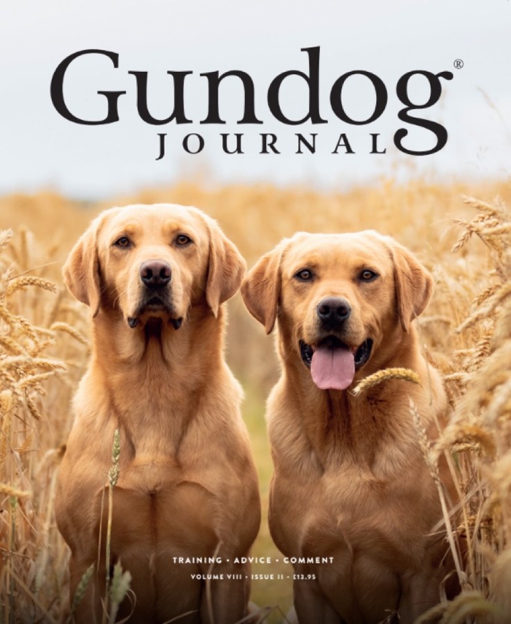 Gundog Journal current issue