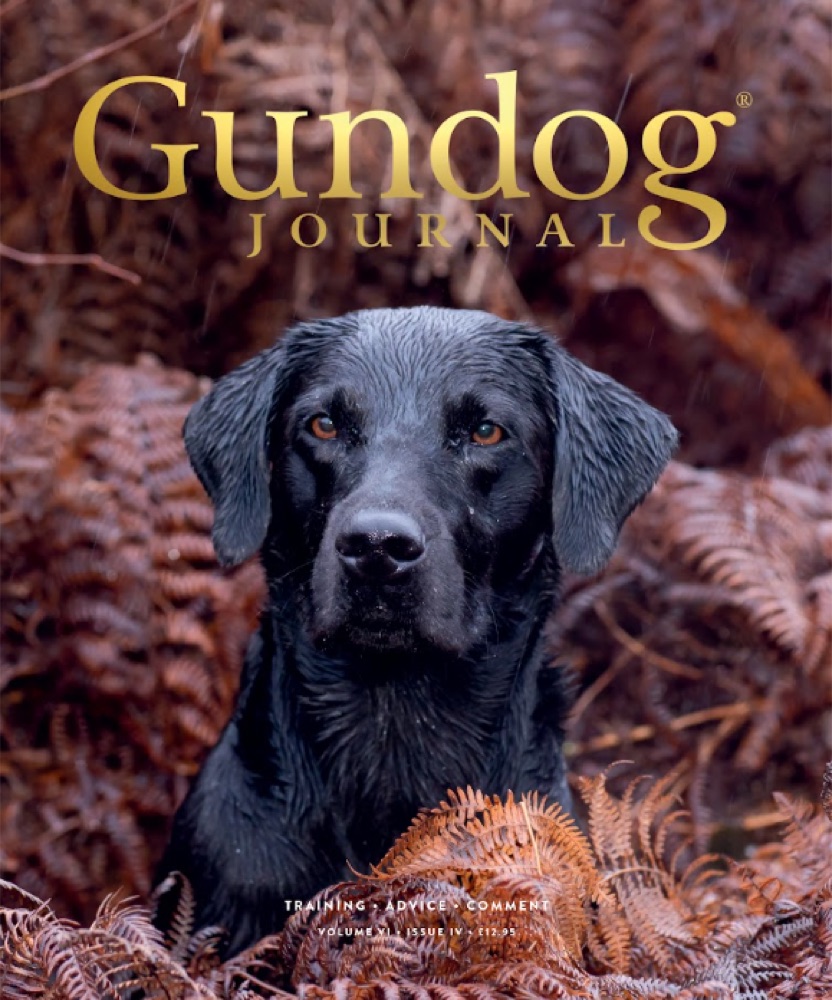 Gundog Journal Volume VI, Issue IV cover