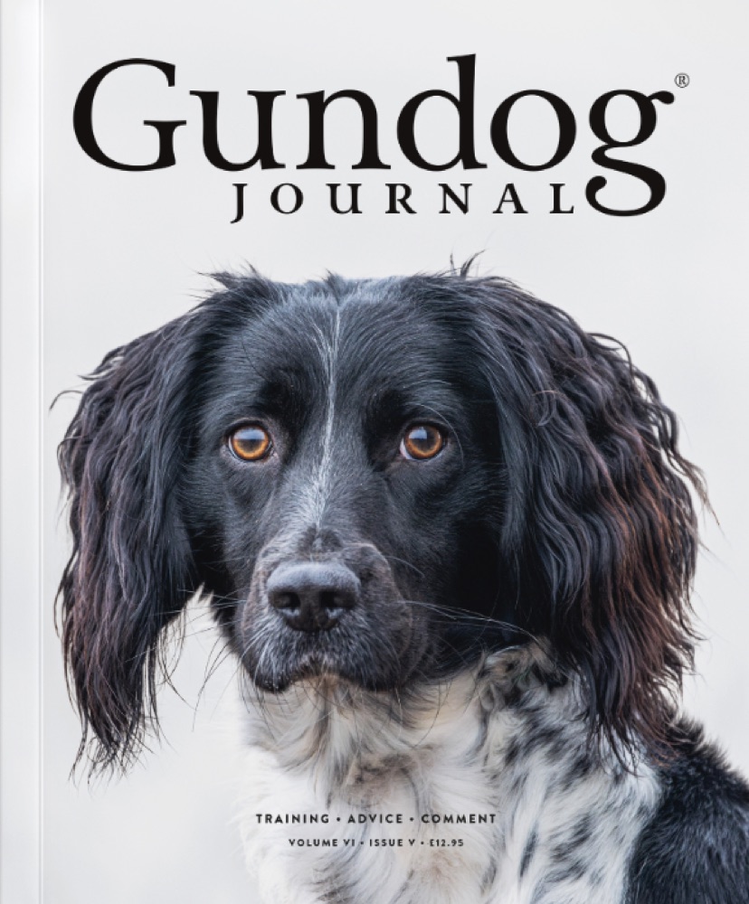 Gundog Journal Volume VI, Issue V cover