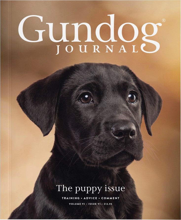 Gundog Journal Volume VI, Issue VI cover