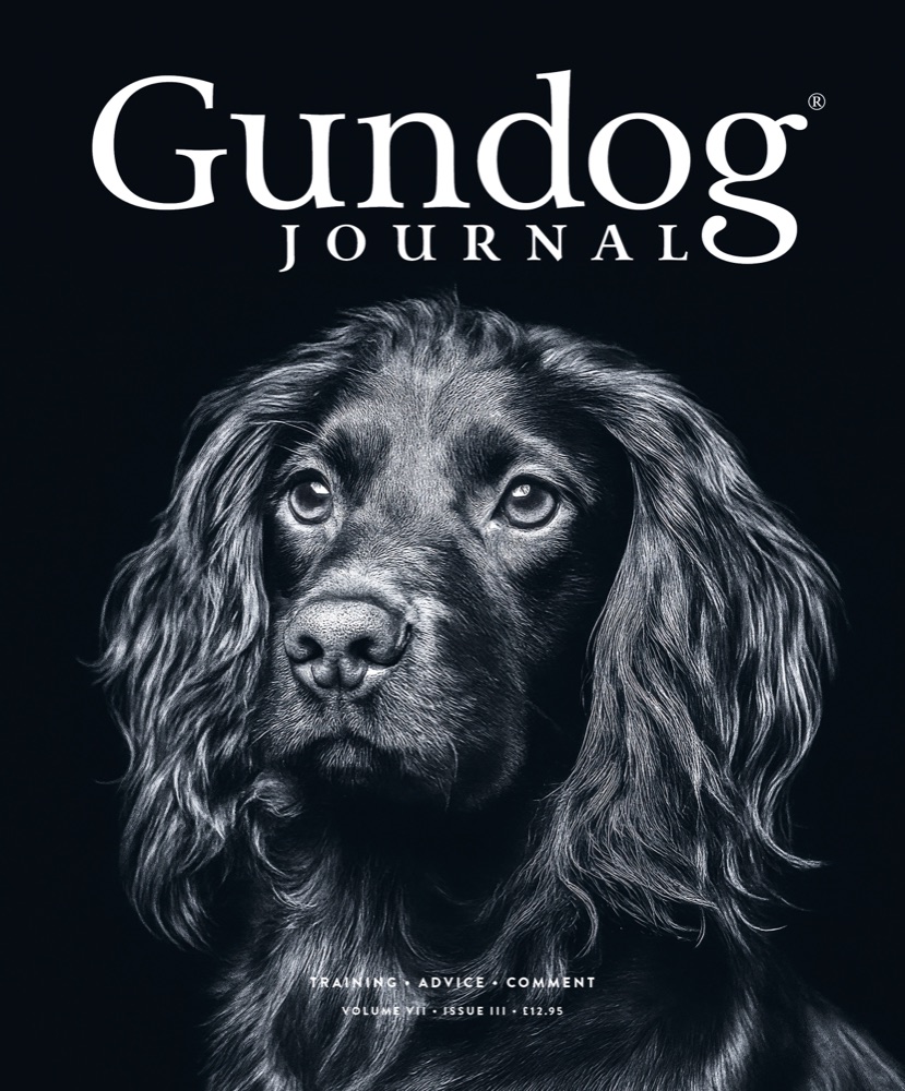 Gundog Journal Volume VII, Issue III cover