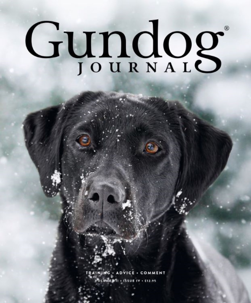 Gundog Journal Volume VII, Issue IV cover