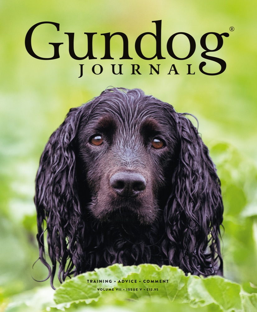 Gundog Journal Volume VII, Issue V cover