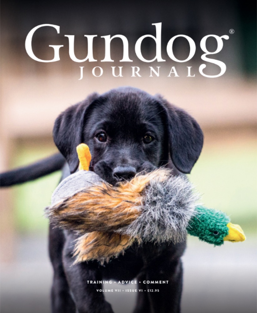 Gundog Journal Volume VII, Issue VI cover