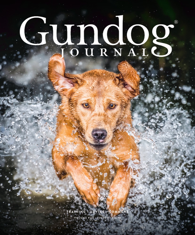 Gundog Journal Volume VIII, Issue I cover