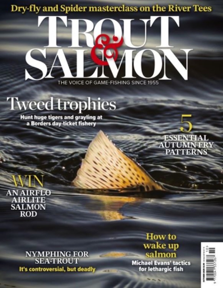 Trout & Salmon October 2025 cover