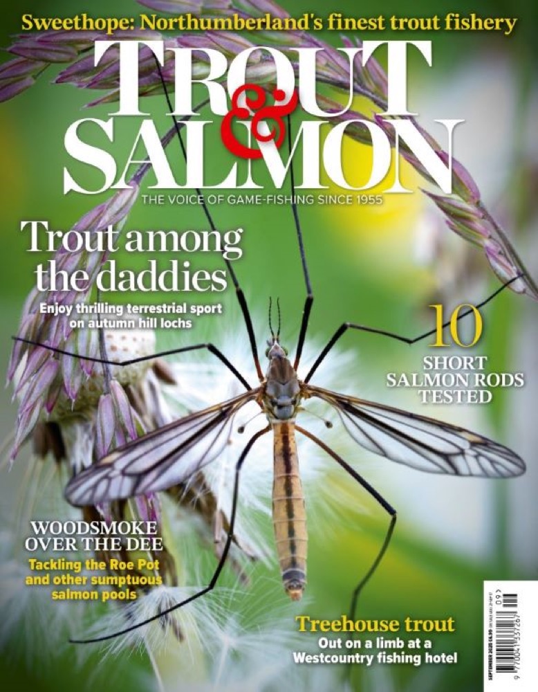 Trout & Salmon September 2025 cover