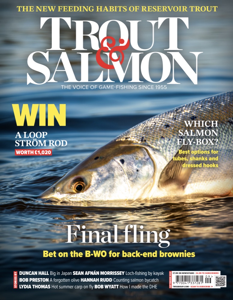 Trout & Salmon September 2026 cover